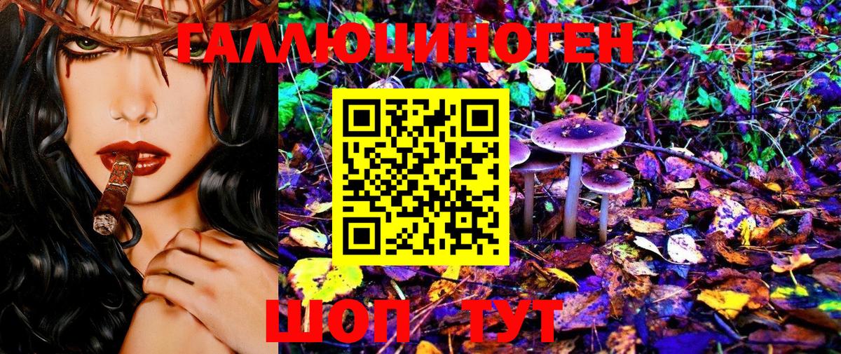 Корсаков  Псилоцибиновые грибы MAGIC MUSHROOMS  Галлюциногенные грибы мухоморы  Вход с VPN 