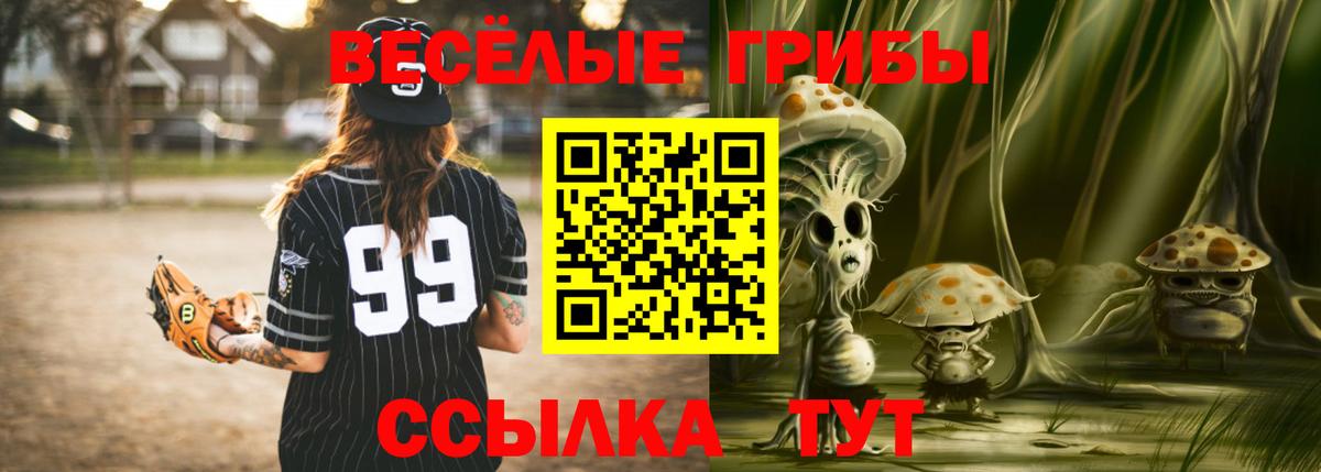 Галлюциногенные грибы мицелий Корсаков