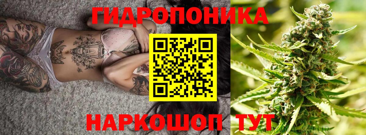 Канабис AK-47  Вход с VPN  МАРИХУАНА индика  Корсаков  Бошки Шишки VHQ 